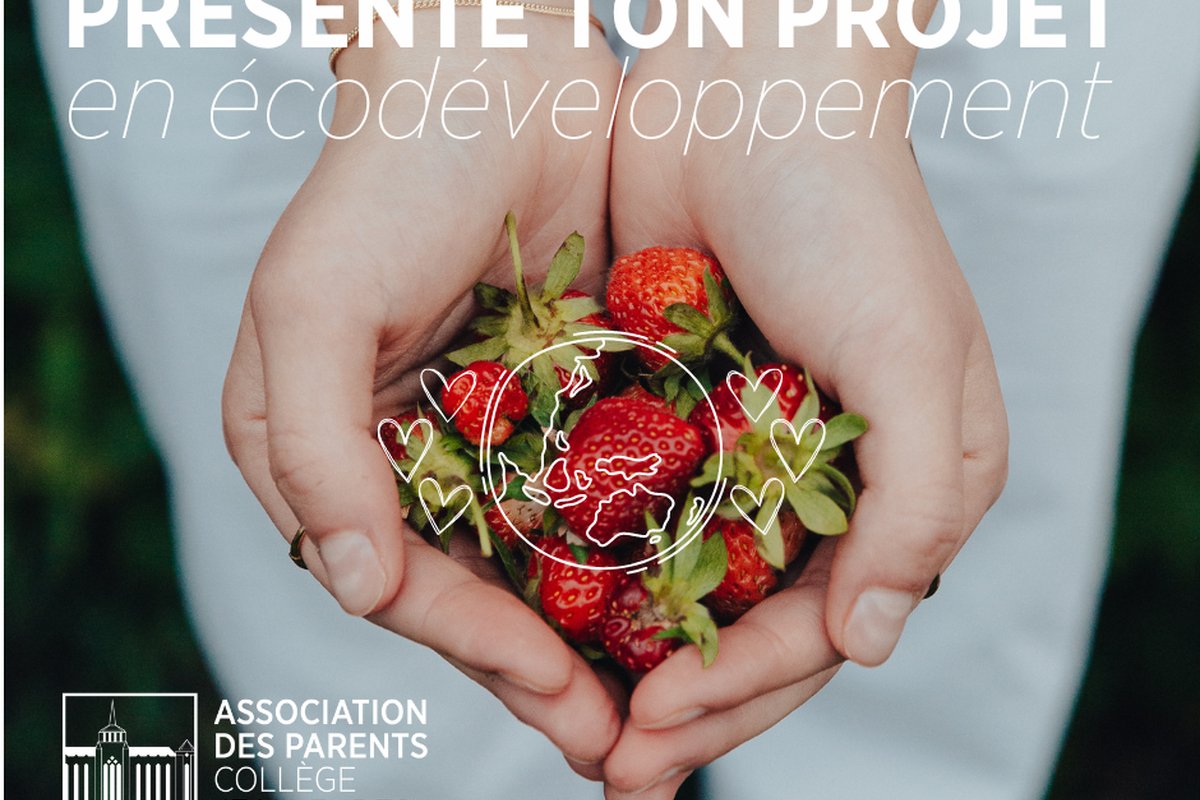 PRESENTE TON PROJET 3