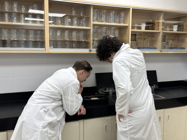 Image de la concentration